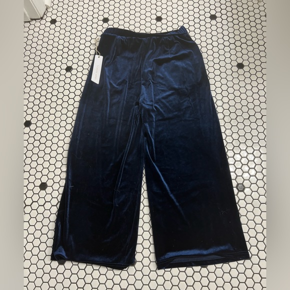 NWT Harper wren polyester velour pants size small - Picture 2 of 5